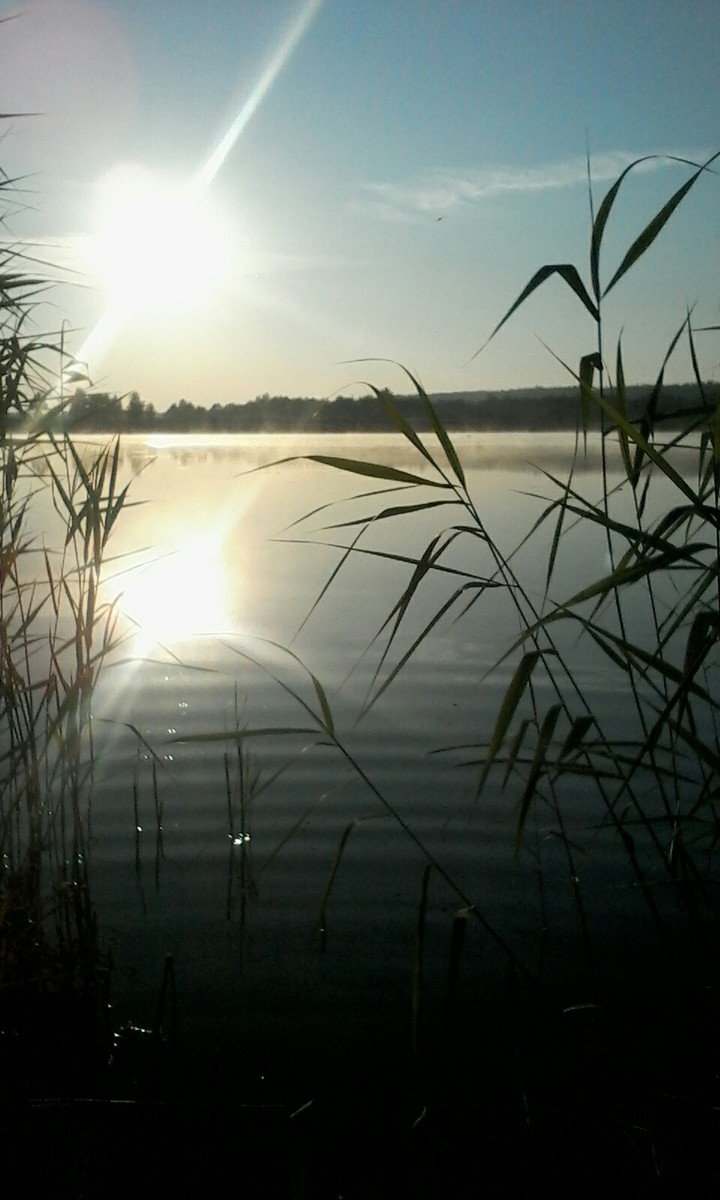 Sun on beach ☀