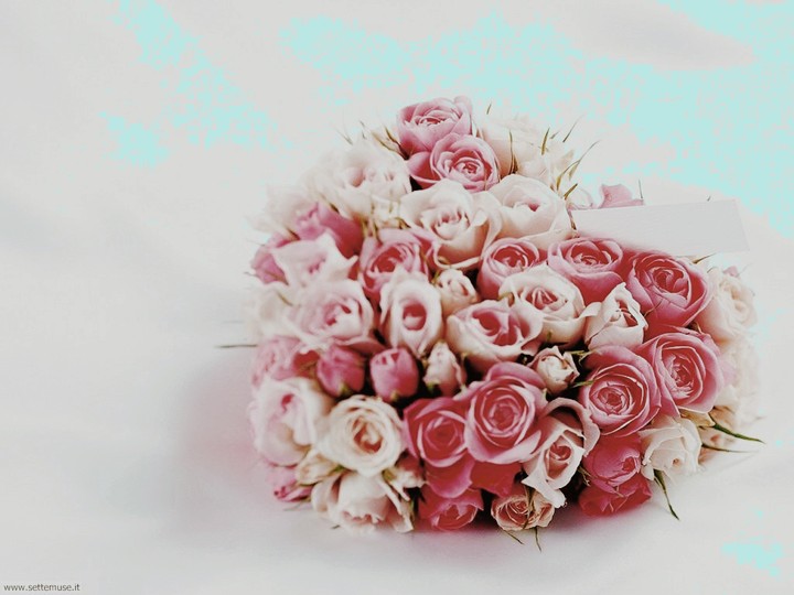fioro rosa e bianco