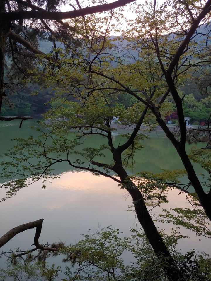 공원호수