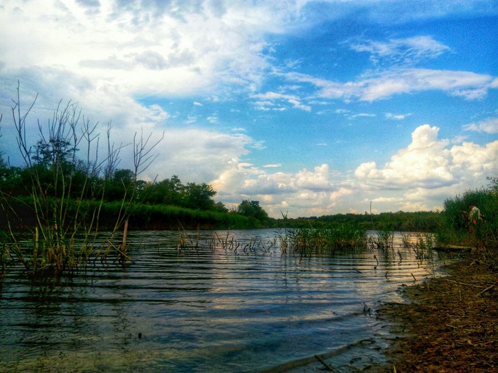 my nature