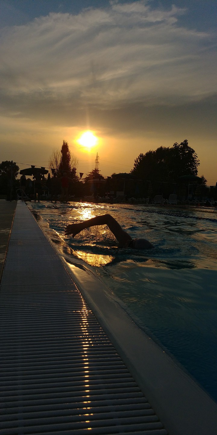 swimmer