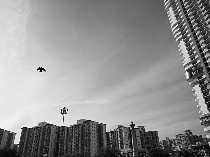 City life