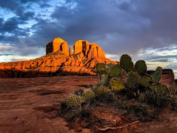 Arizona