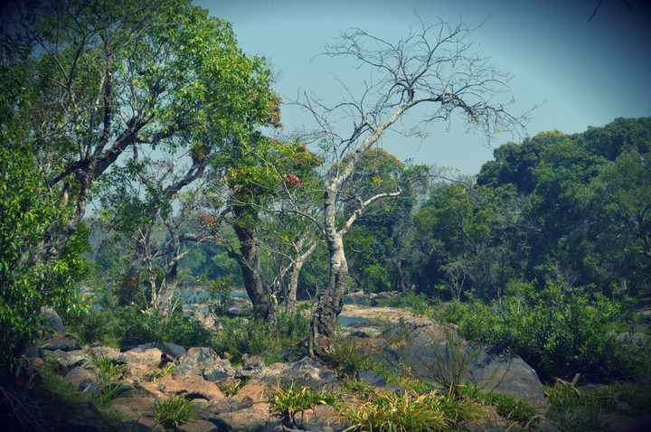 #banglore#india
