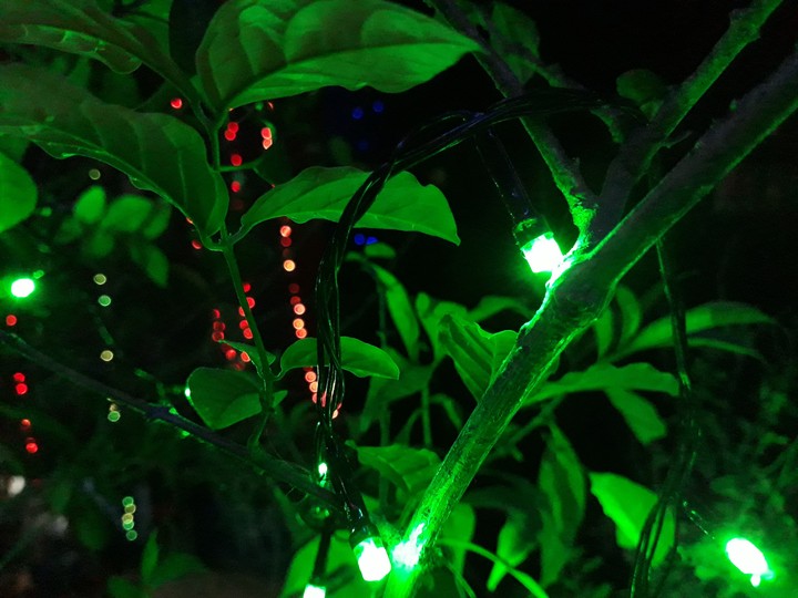 green diwali
