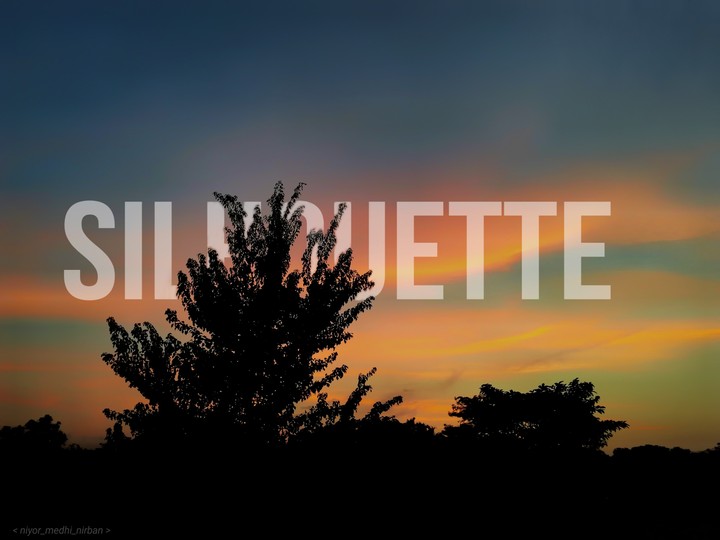 silhouette