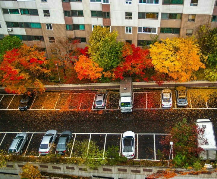 autumn