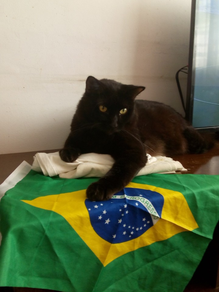 Anakin  Nunes