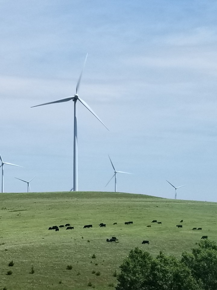 Pasture Power