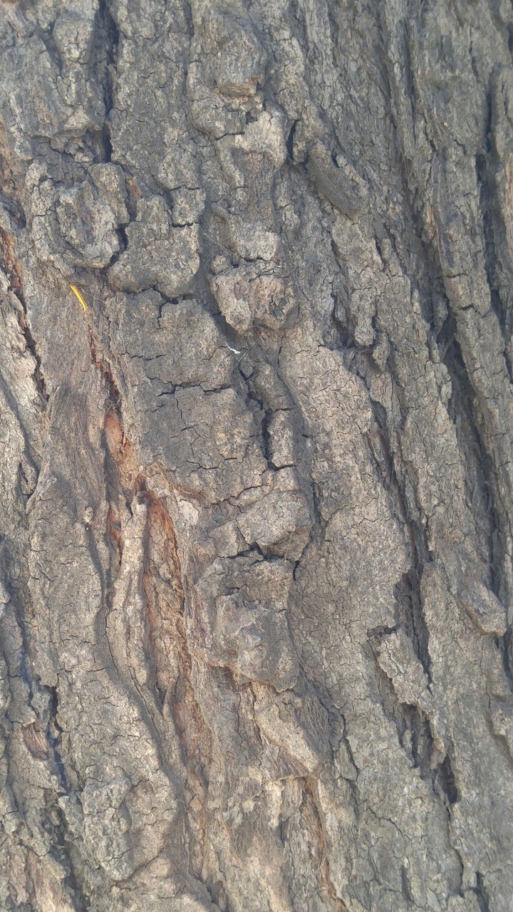 Texture