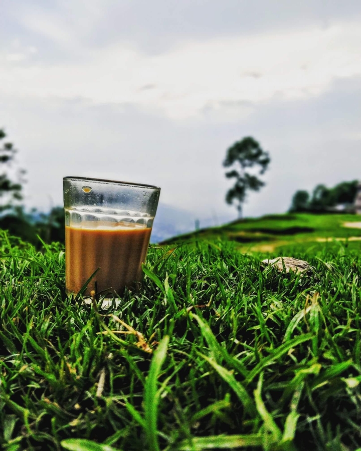 tea
