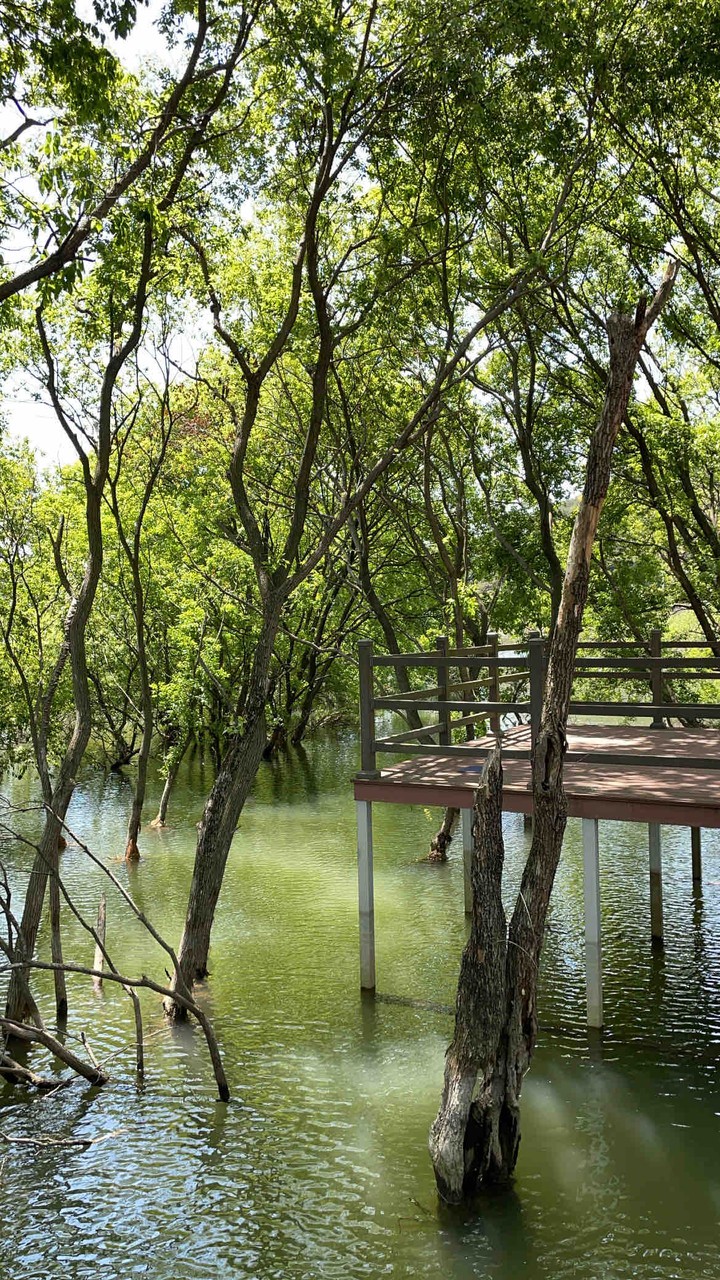 Lake