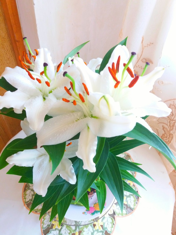 Beautiful flowers