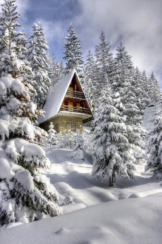 Chalet enneigé !!!!
