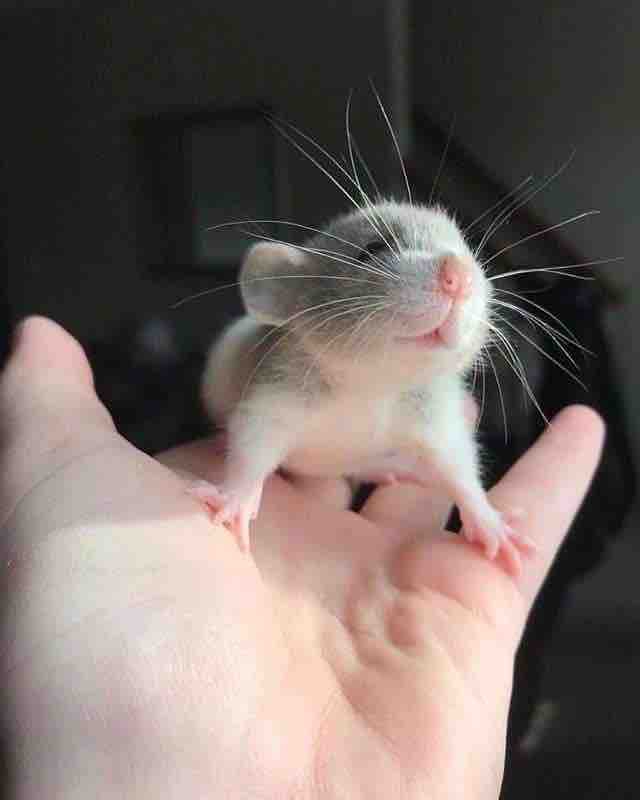 cute