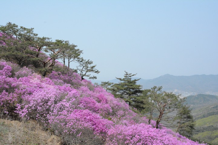 풍경이미지