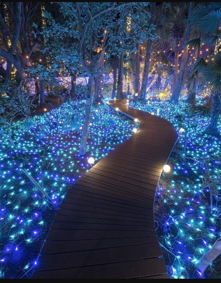 aaaa