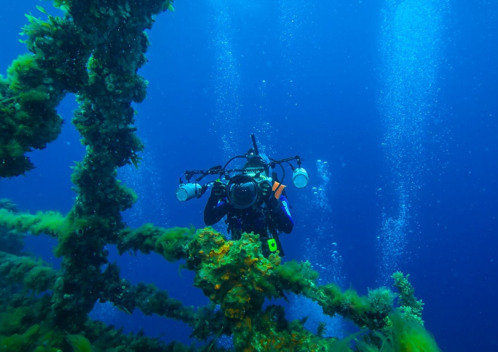 #Underwater_Diving❤