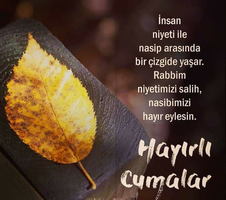 Aminn