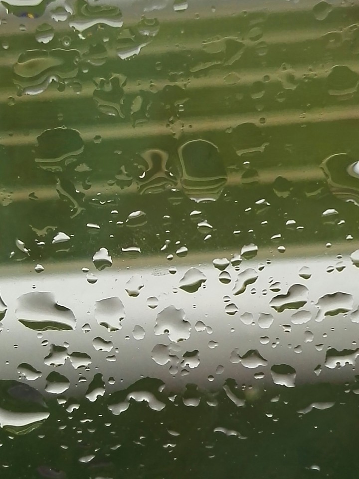 rainy morning