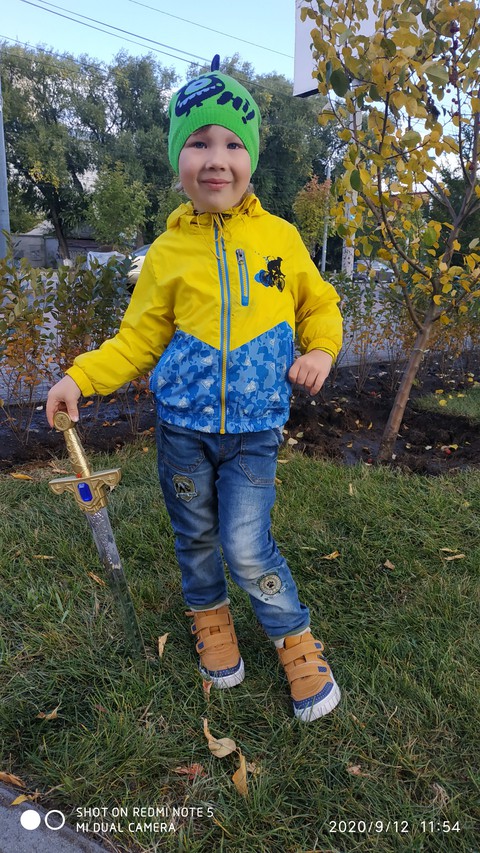 обои tree, play