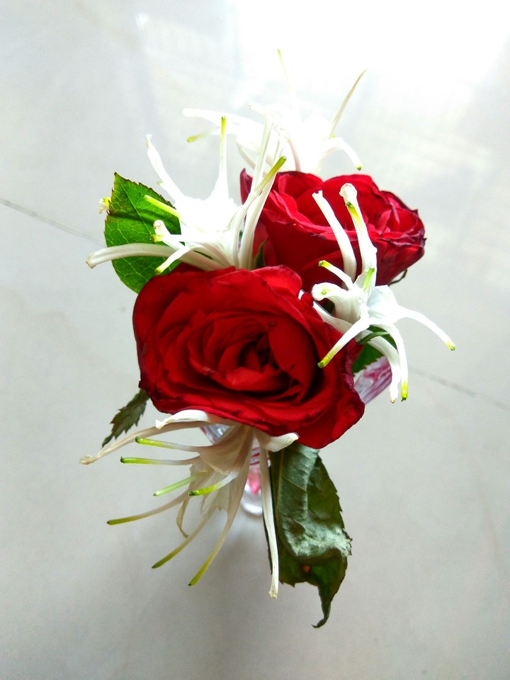 Want Rose?