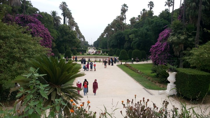 the test garden