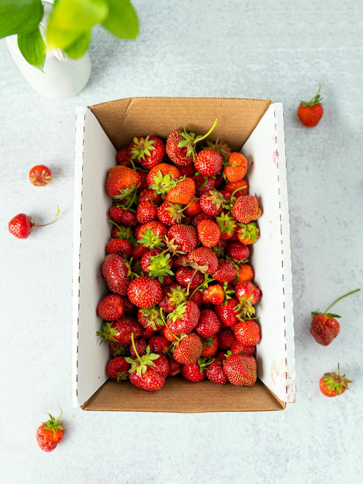 fruits
