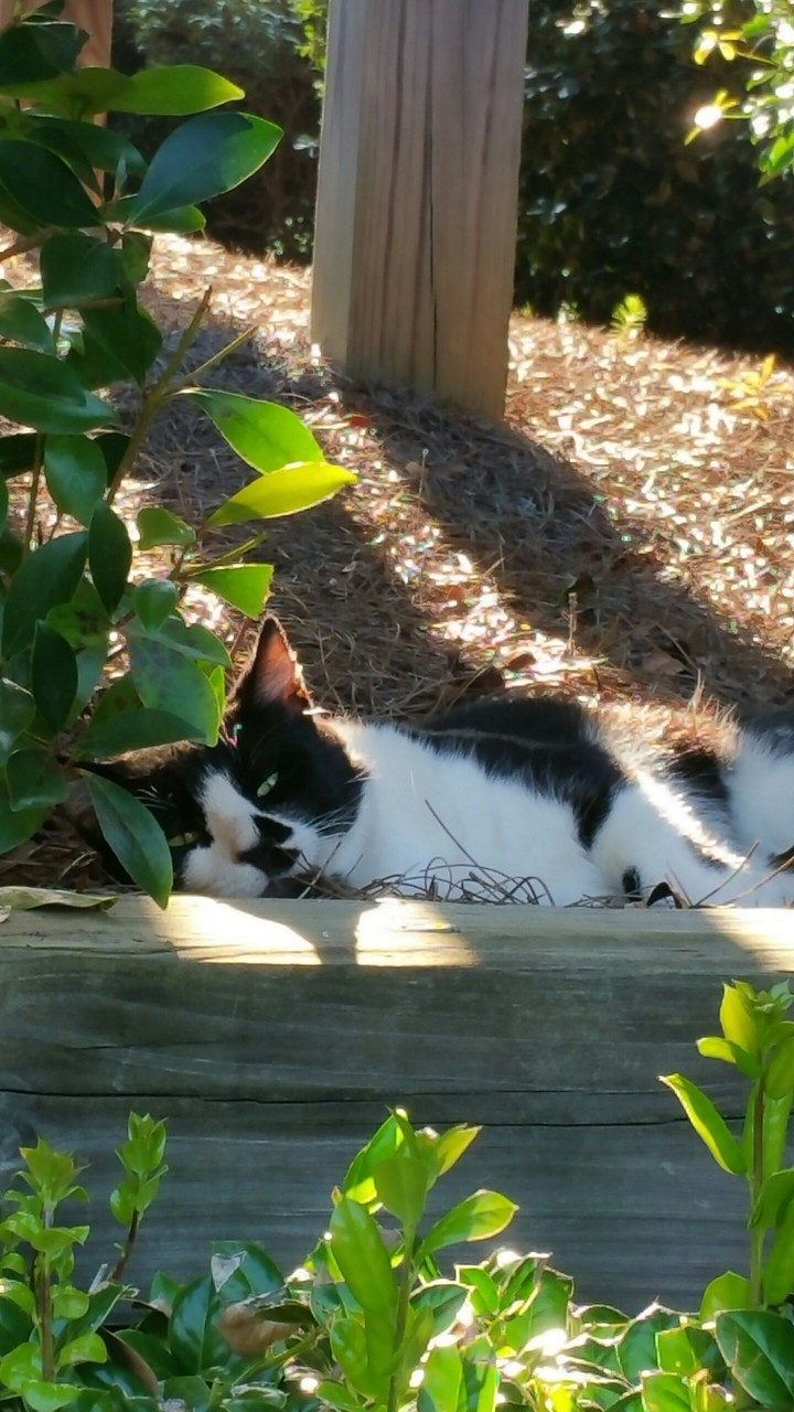 Nap time