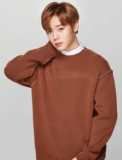Wanna one