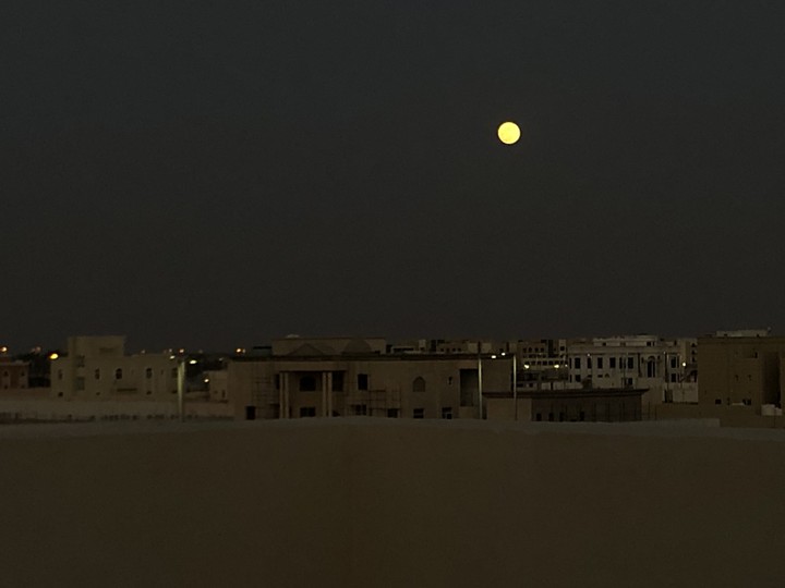 moonlight