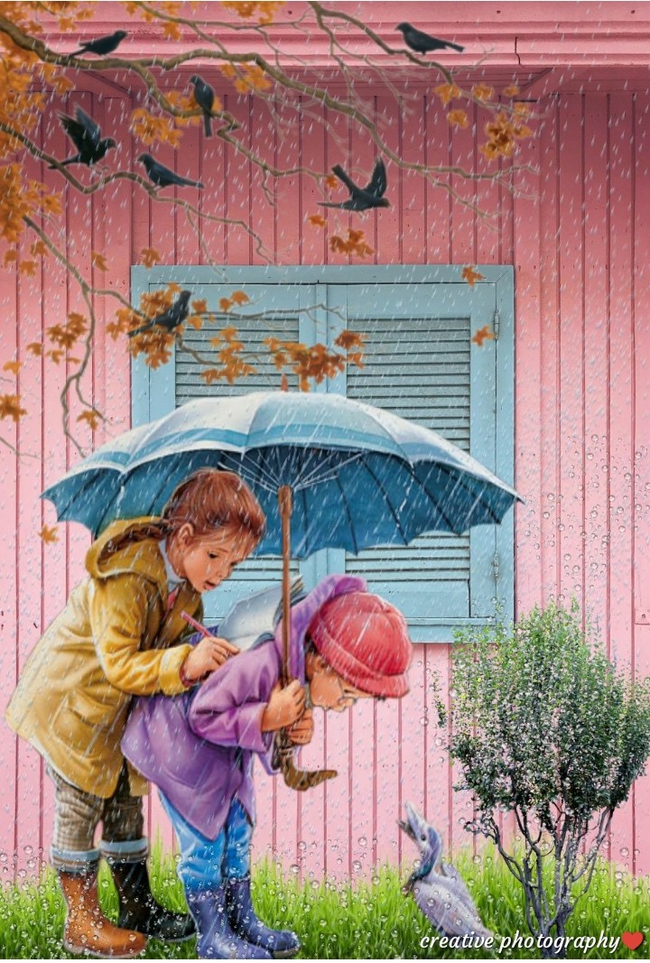 rain