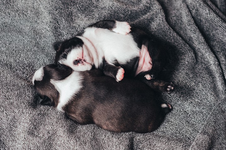 ❤