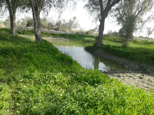 زمین های سرسبز ما