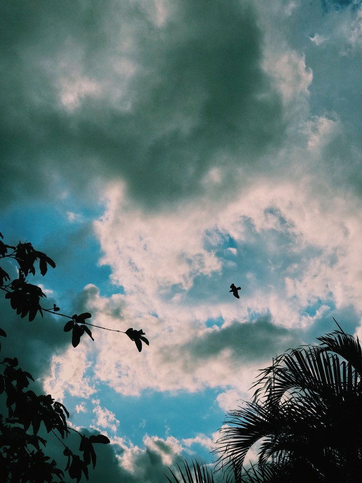 cielo