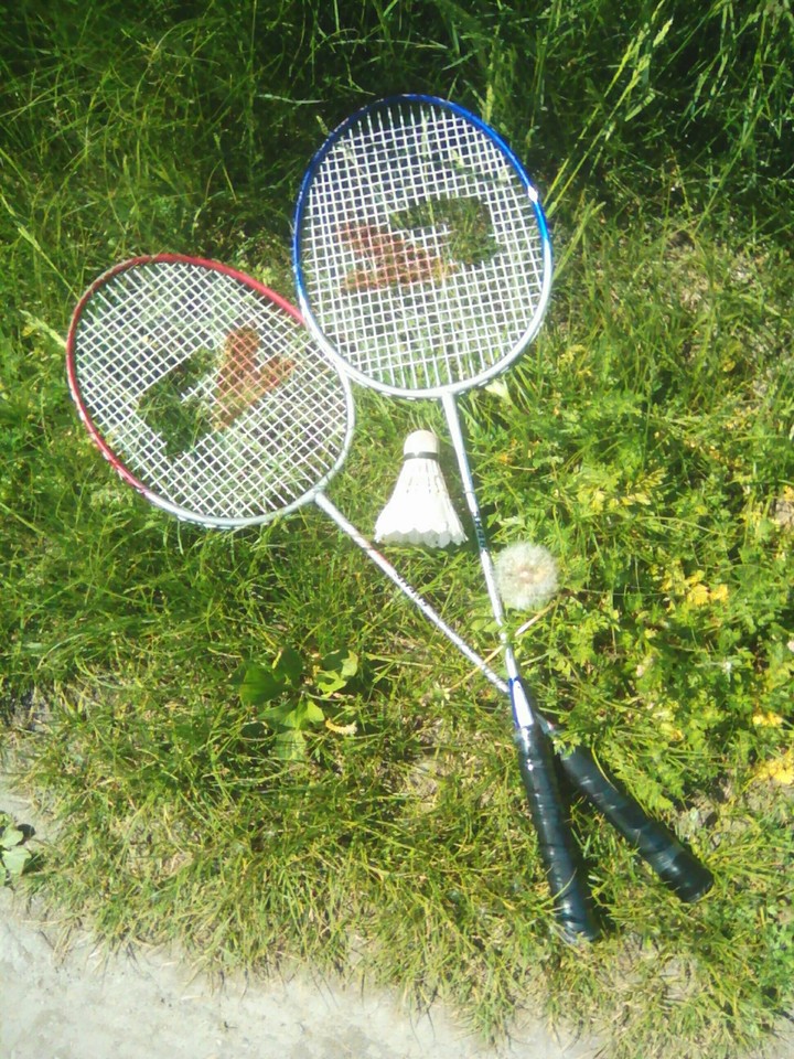 Спорт