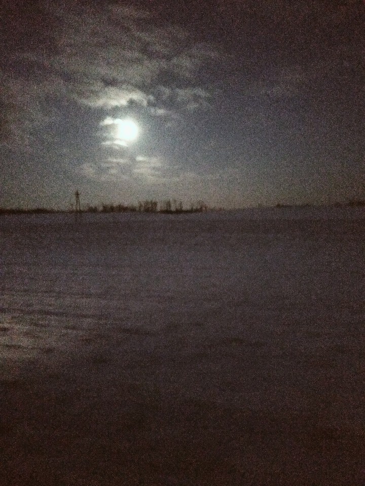 night