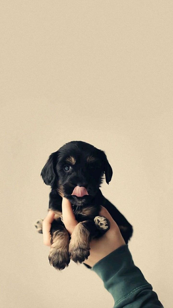 cute