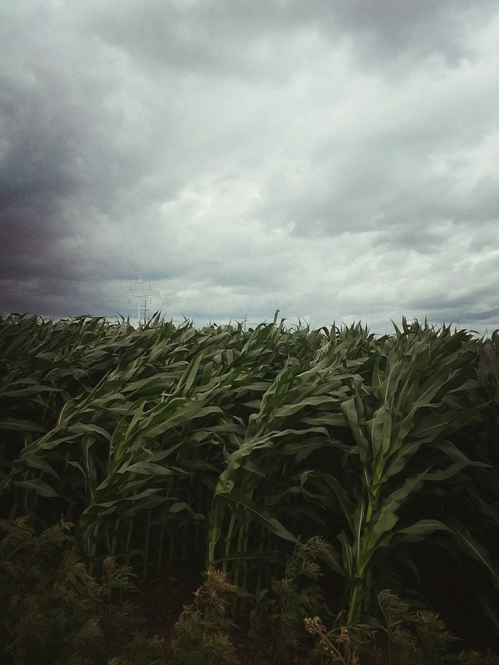 Before the Storm