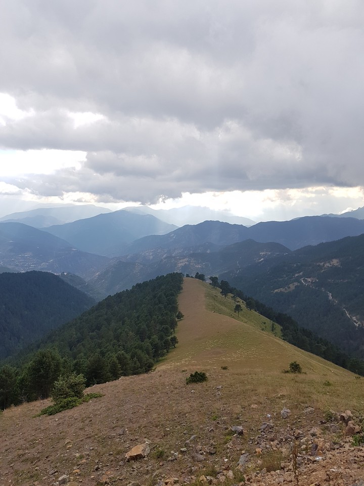 Zigana/Trabzon