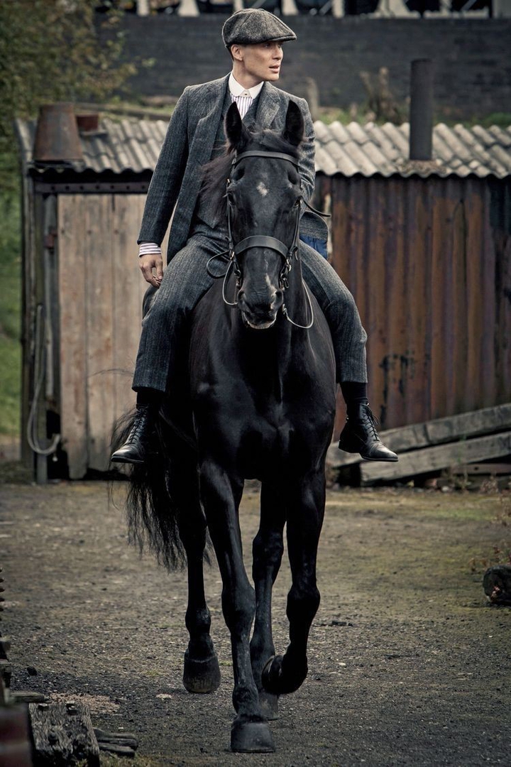 Friesian Horse