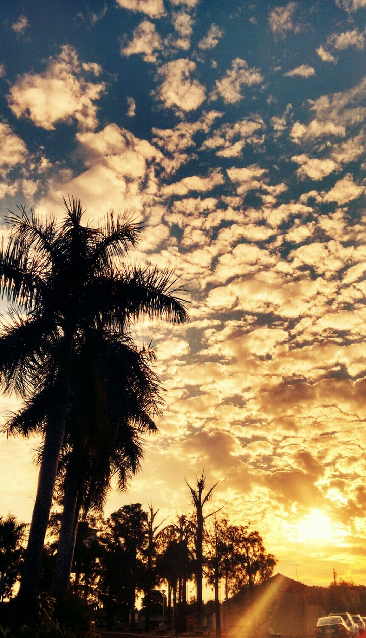 Nature / Natureza