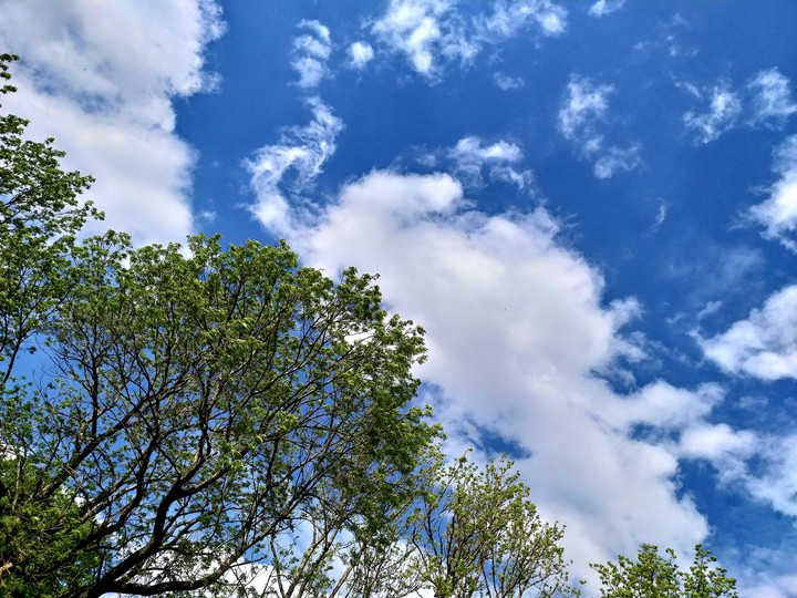 07.06.2020 г
