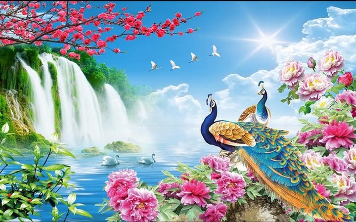 peacock