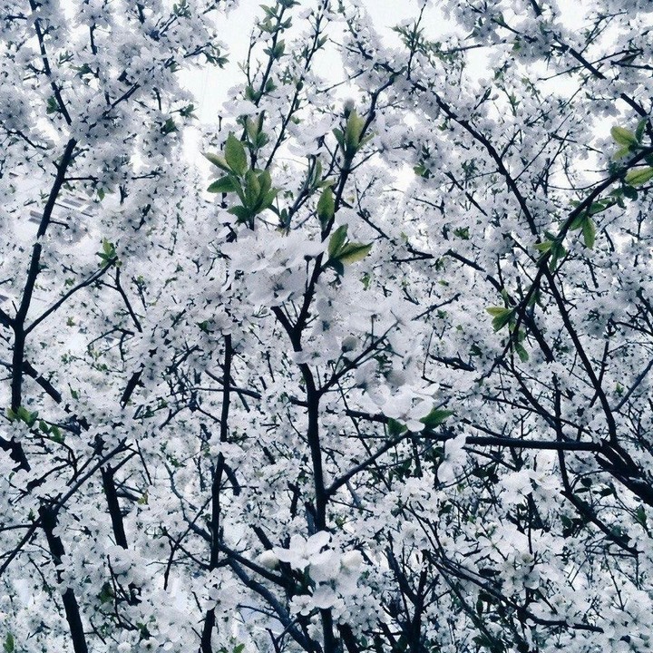 April