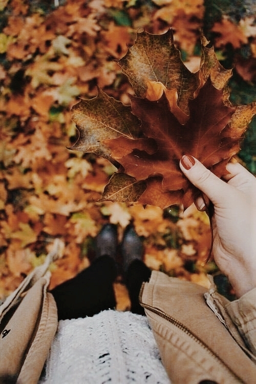 autumn