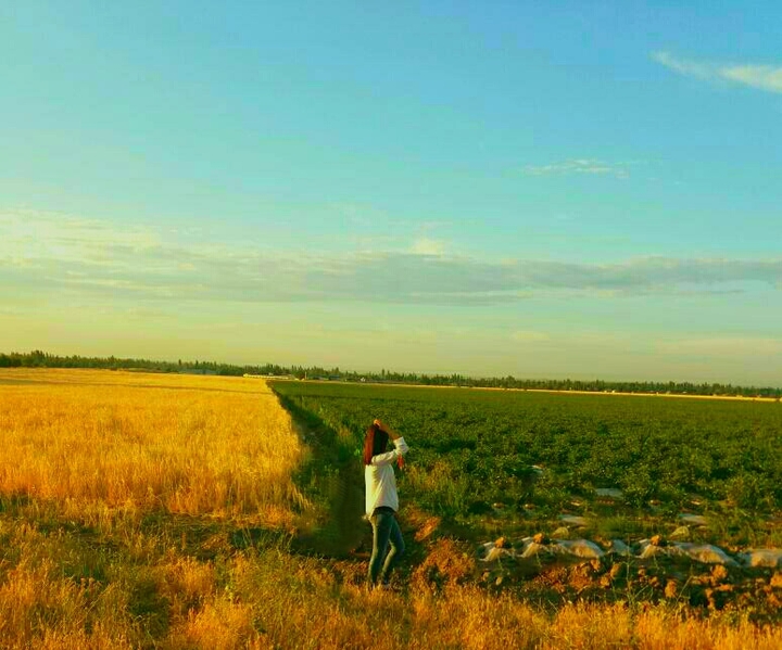 Nature