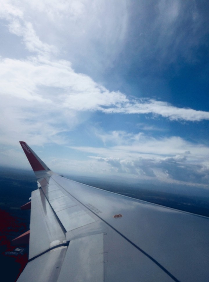 fly