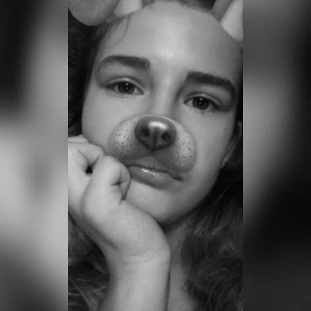 doggi