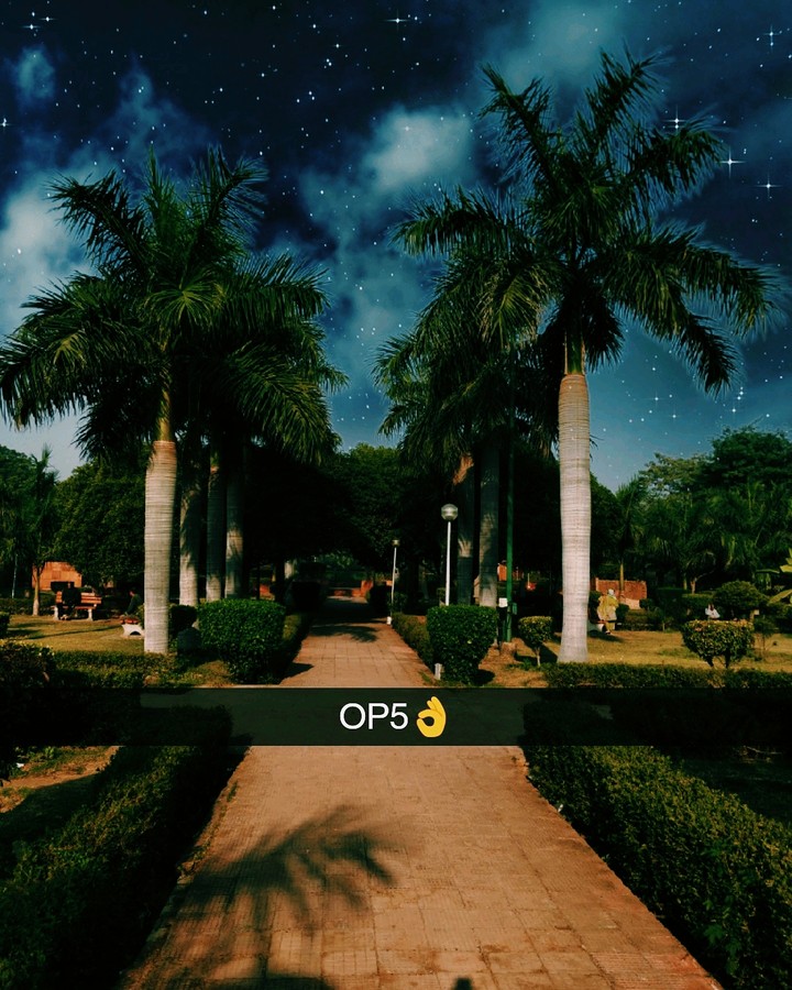 #nature #op5click